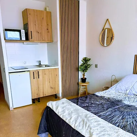 Cocon Vue Grande Roue, & Piscine, Parking & Clim * Agde