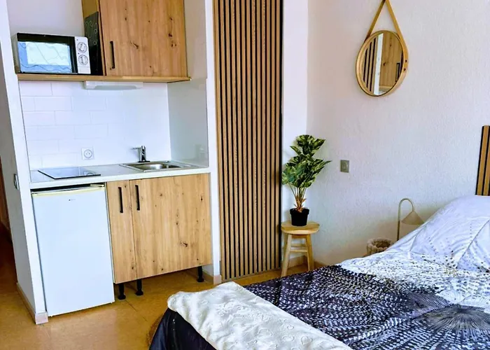 Cocon Vue Grande Roue, & Piscine, Parking & Clim * Agde