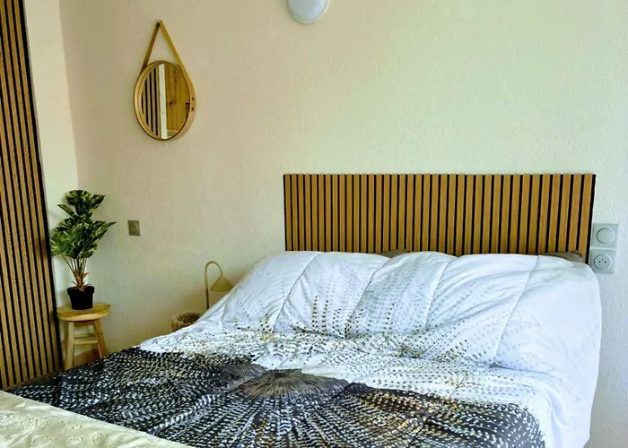 Cocon Vue Grande Roue, & Piscine, Parking & Clim * Agde