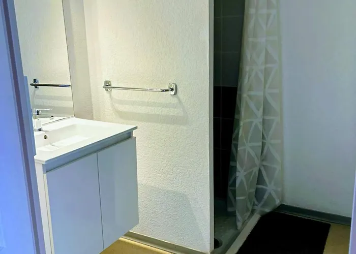 Cocon Vue Grande Roue, & Piscine, Parking & Clim Apartment