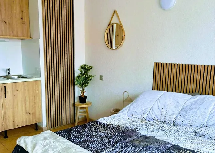 Cocon Vue Grande Roue, & Piscine, Parking & Clim Apartment