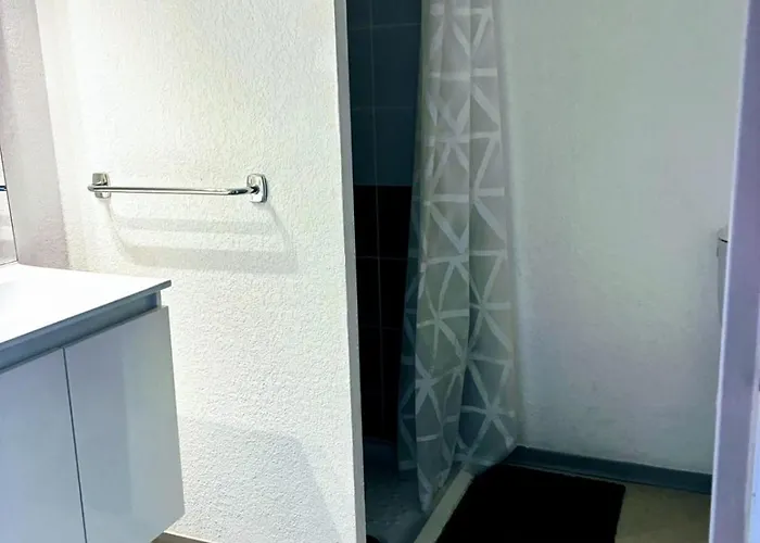 Cocon Vue Grande Roue, & Piscine, Parking & Clim * Agde